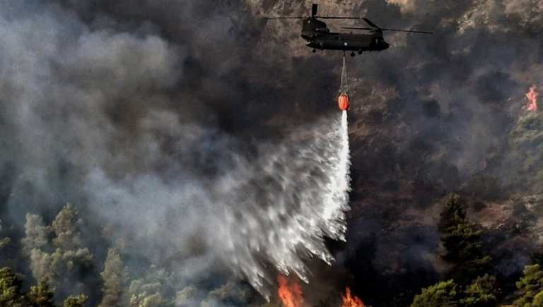 Φωτιά στα Βίλια: Κοντά στους οικισμούς Παλαιοχώρι και Θέα οι φλόγες - Τεράστιο το πύρινο μέτωπο - "Σηκώθηκαν" τα εναέρια