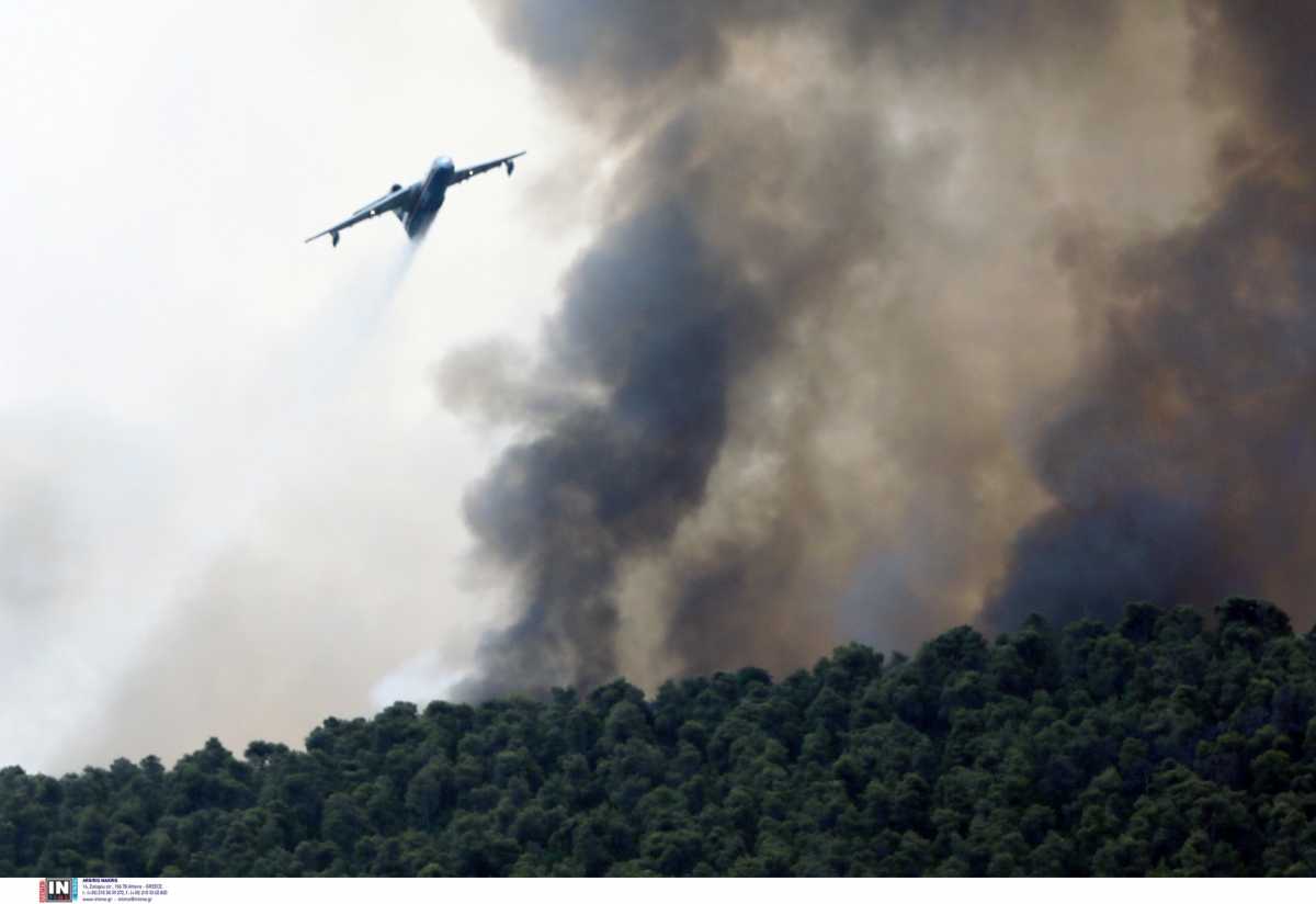Φωτιά στα Βίλια: Σε ύφεση η πύρινη λαίλαπα – 31 δασικές πυρκαγιές σε όλη τη χώρα