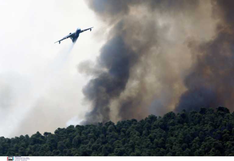 Φωτιά στα Βίλια: Σε ύφεση η πύρινη λαίλαπα - 31 δασικές πυρκαγιές το τελευταίο 24ωρο σε όλη την Ελλάδα