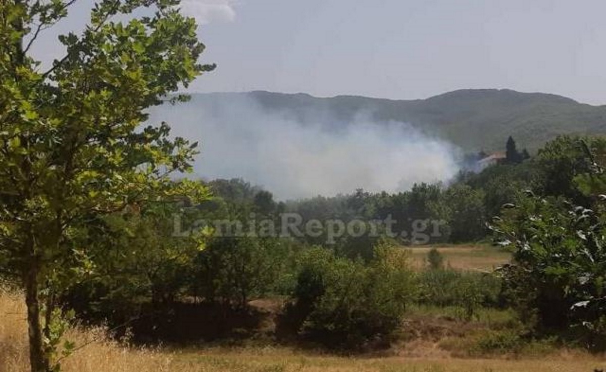Δύο φωτιές ξέσπασαν στη Φθιώτιδα με διαφορά λίγων λεπτών