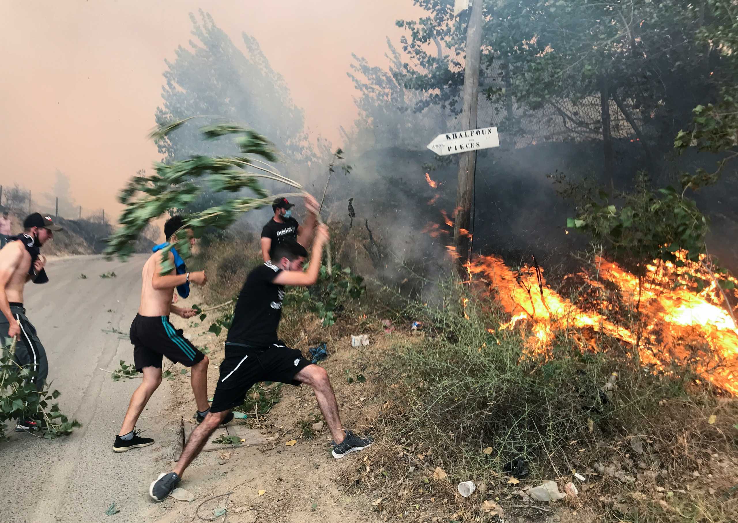 Πυρκαγιές σαρώνουν την Αλγερία – Τουλάχιστον 42 νεκροί