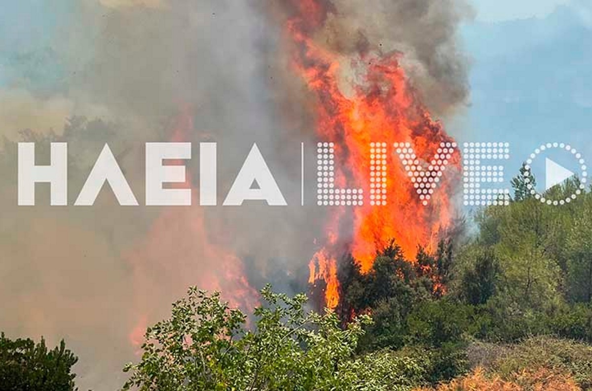 Μεγάλη αναζωπύρωση στην Ηλεία – Συναγερμός στην Αρκαδία όπου έχουν περάσει φωτιές από την Μεσσηνία και την Ηλεία