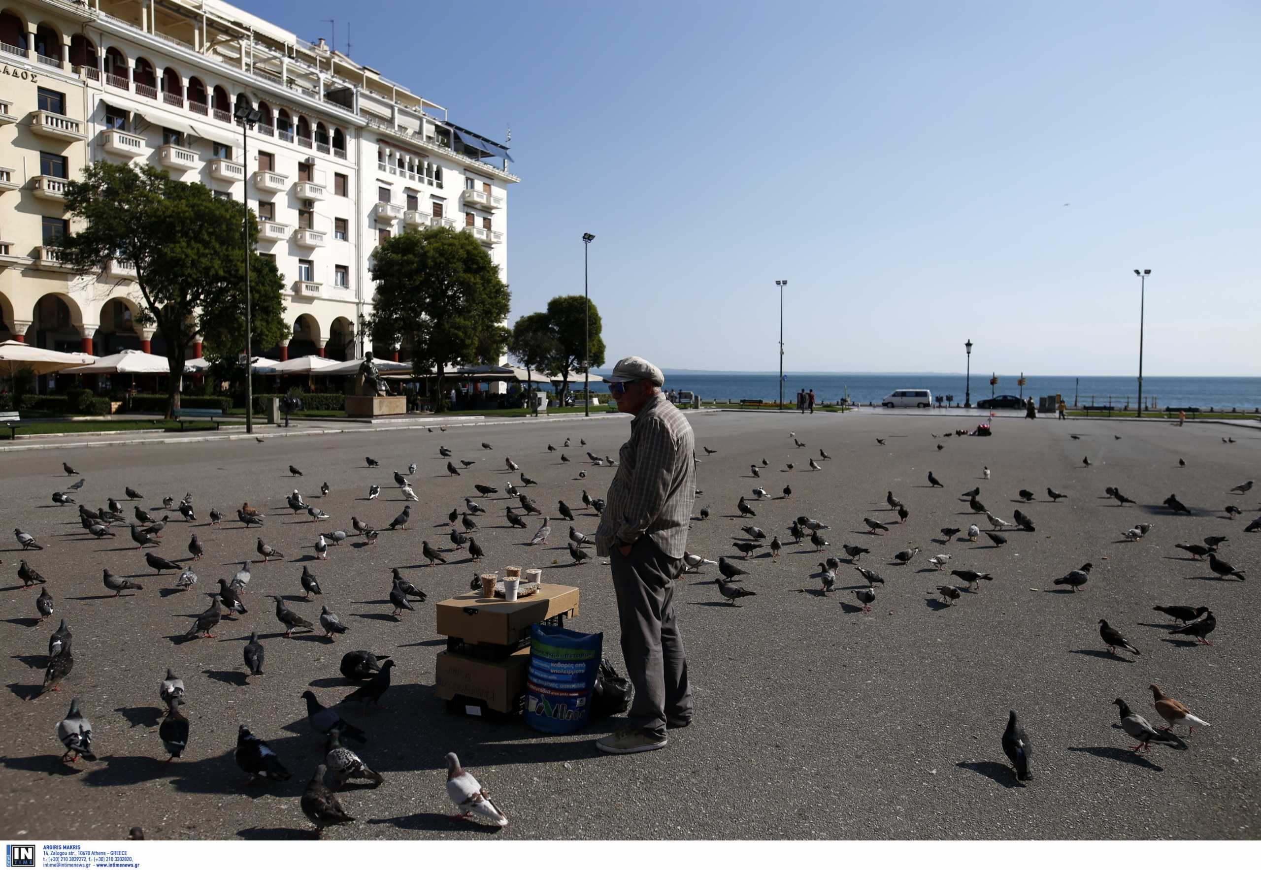 Έτσι θα γίνει η νέα πλατεία Αριστοτέλους – «Δωμάτια» με φοίνικες και μανόλιες