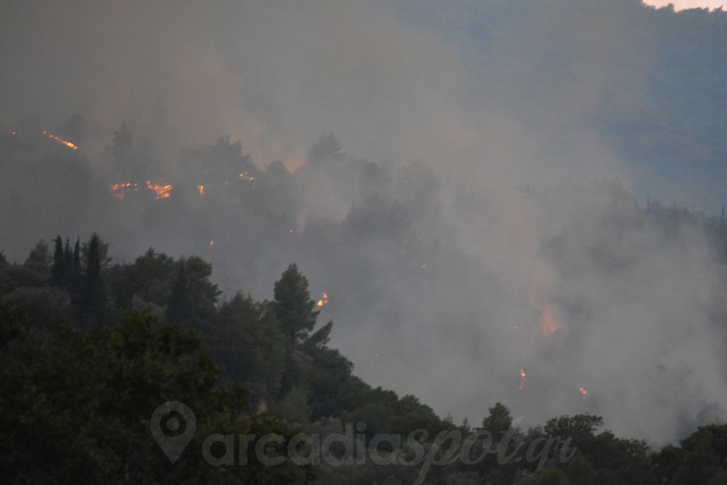 Φωτιά στην Αρκαδία: Δύο τα πύρινα μέτωπα – Εκκενώθηκαν οικισμοί, κάηκαν σπίτια