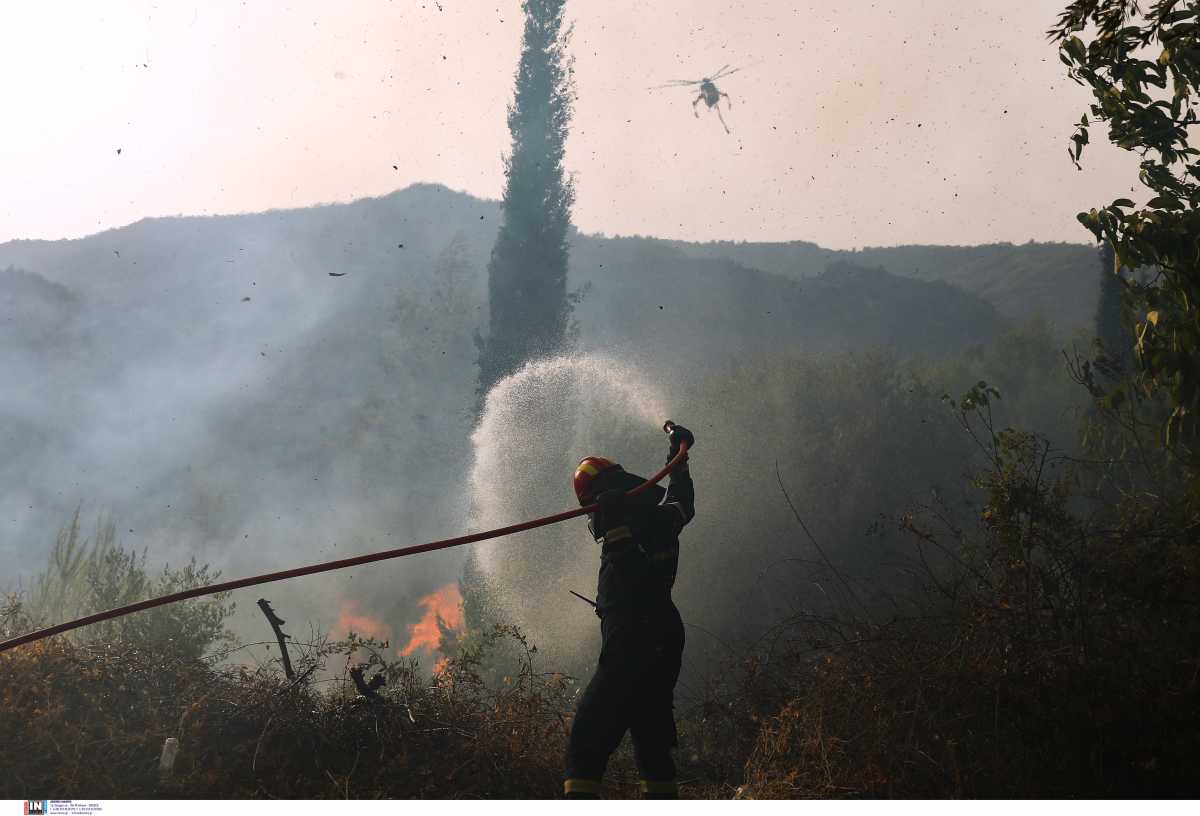 Φωτιά στην Αρκαδία: Μικρές αναζωπυρώσεις στην Γορτυνία – Σε επιφυλακή οι πυροσβέστες