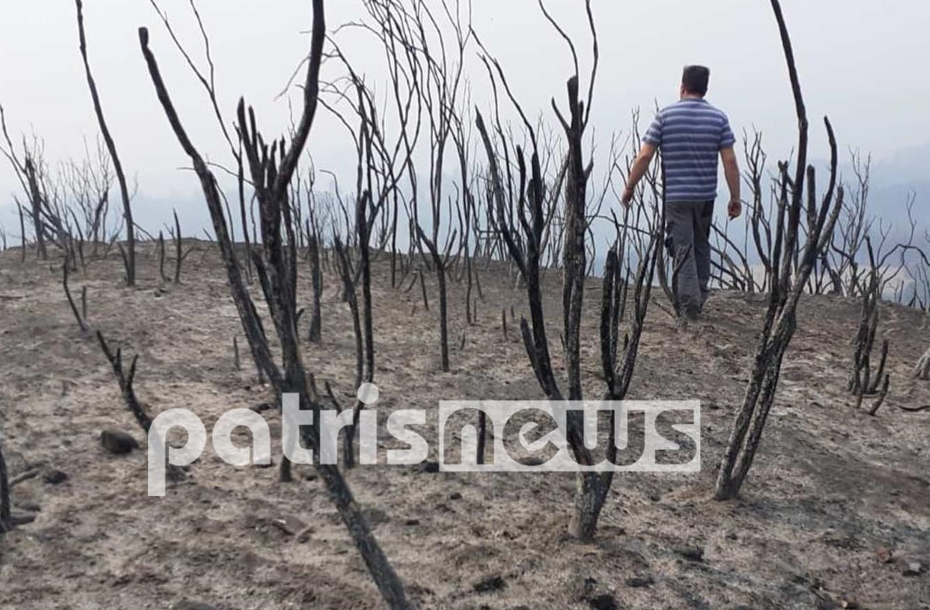 Στάχτη και σιωπή: Η επόμενη μέρα στην Αχλαδινή μετά το πέρασμα της φωτιάς