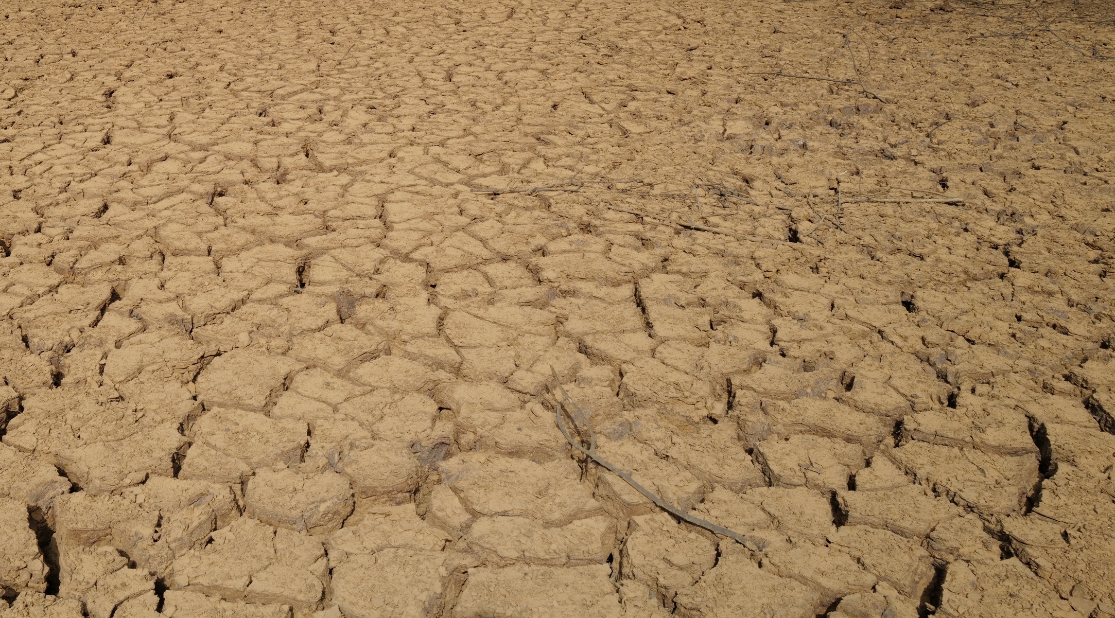 Τυνησία: Παιδιά μετανάστες πέθαναν από δίψα στην έρημο – 48 βαθμοί στη χώρα