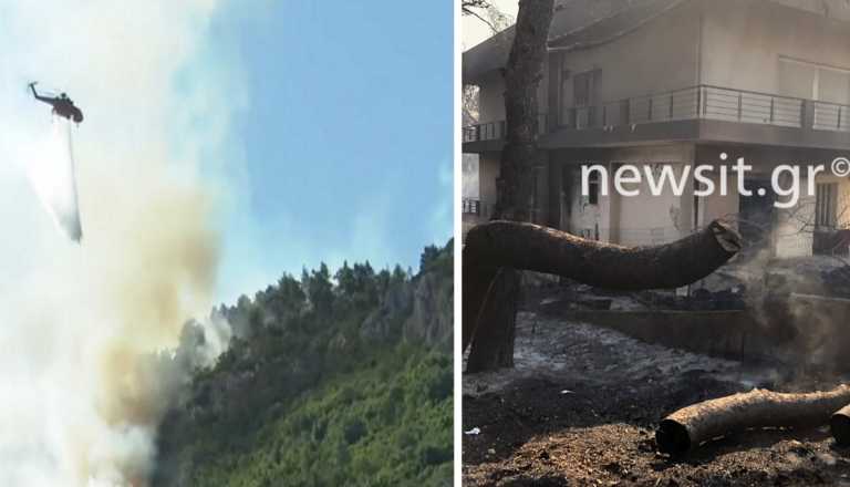 Μάχη με το χρόνο να μη φτάσει η φωτιά στα σπίτια της Μαλακάσας – Στάχτη περιουσίες στους Θρακομακεδόνες – Οι εικόνες του newsit.gr