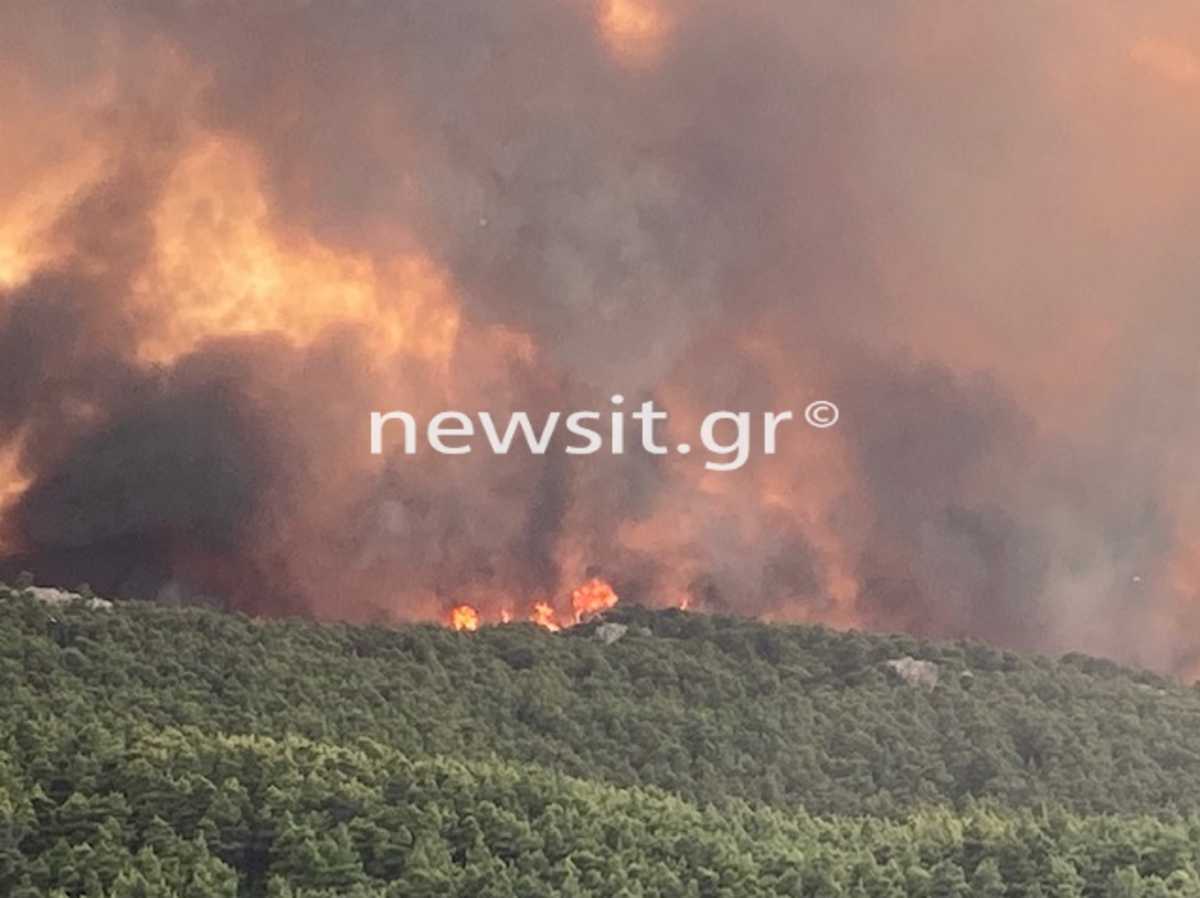 Φωτιά σε Δροσοπηγή - Κρυονέρι