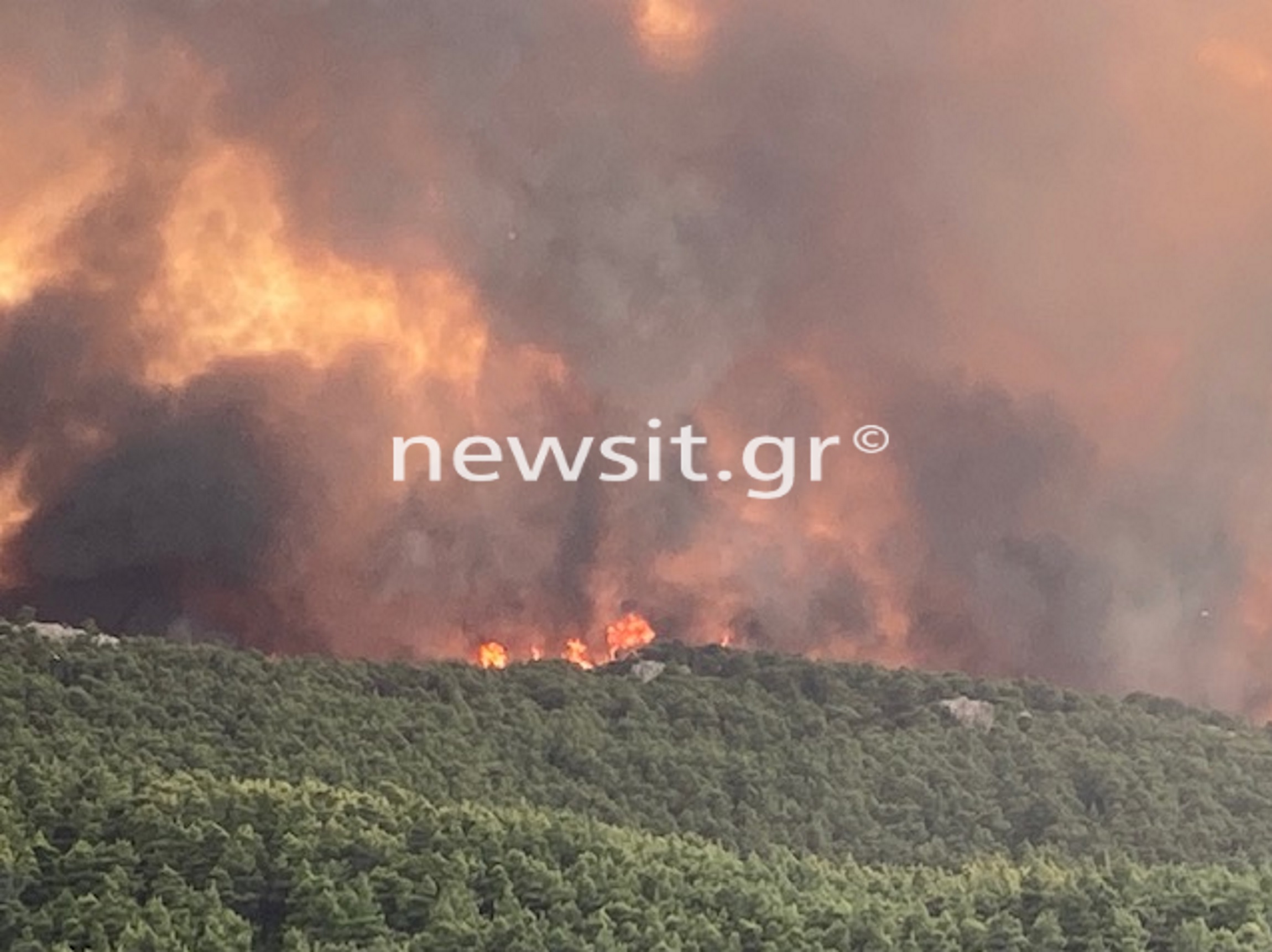 Φωτιά σε Δροσοπηγή - Κρυονέρι