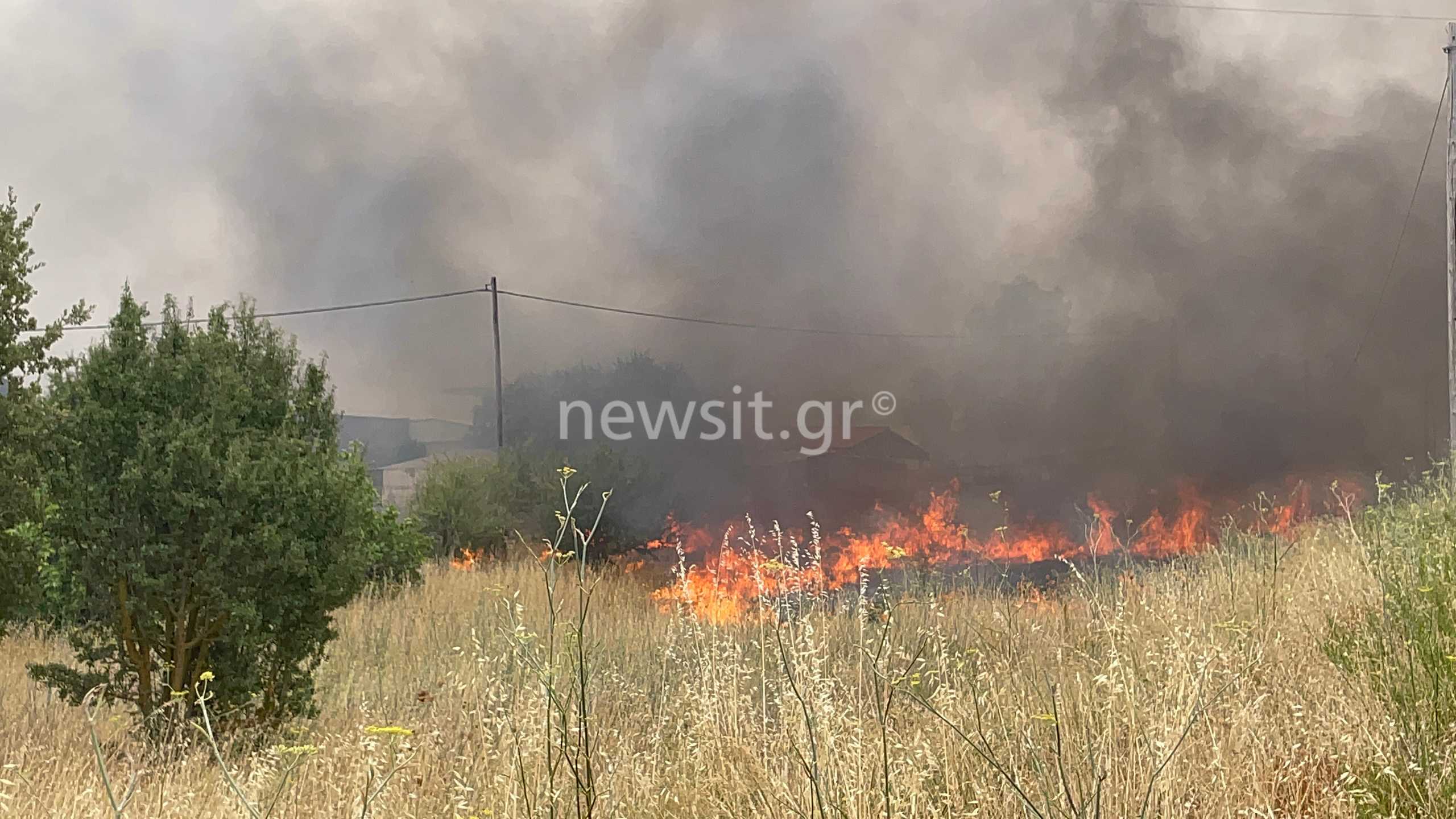 Φωτιά στην Αττική: Μεγάλες αναζωπυρώσεις στις Αφίδνες – Τρομακτικές εικόνες από επιχειρήσεις που καίγονται