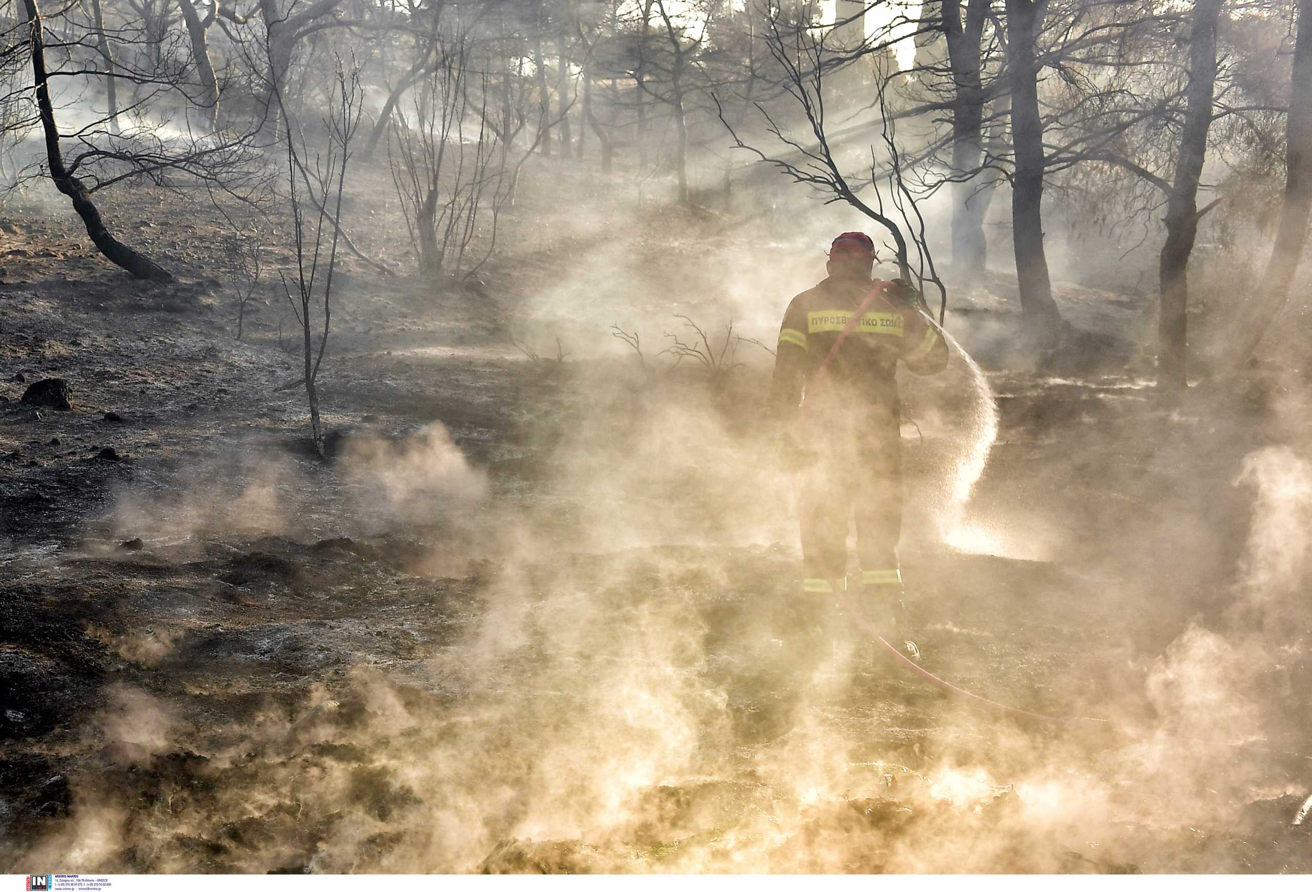Φωτιά στην Εύβοια: «Η κατάσταση είναι τραγική»