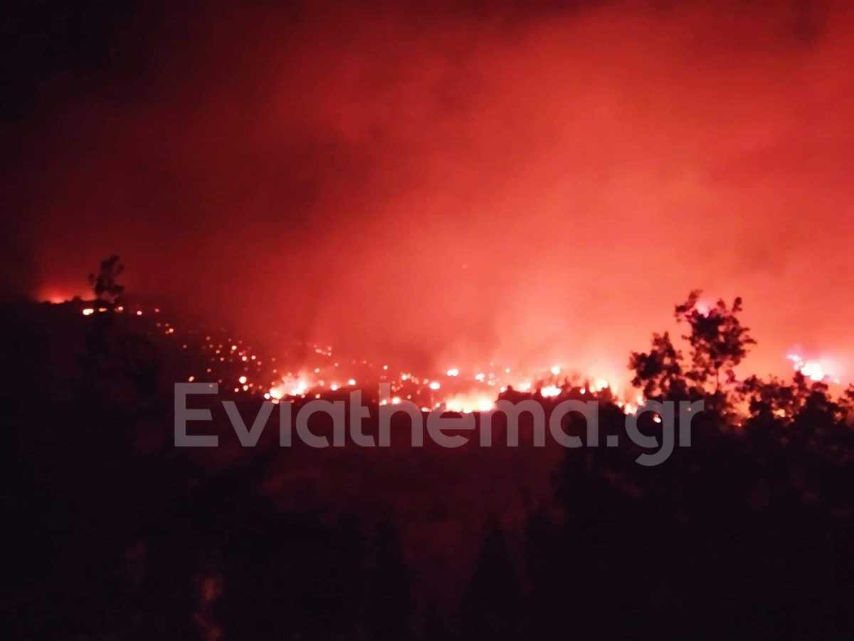 Φωτιά στην Εύβοια: Οι φλόγες κύκλωσαν τα Ελληνικά – Κάηκαν σπίτια στα Βασιλικά