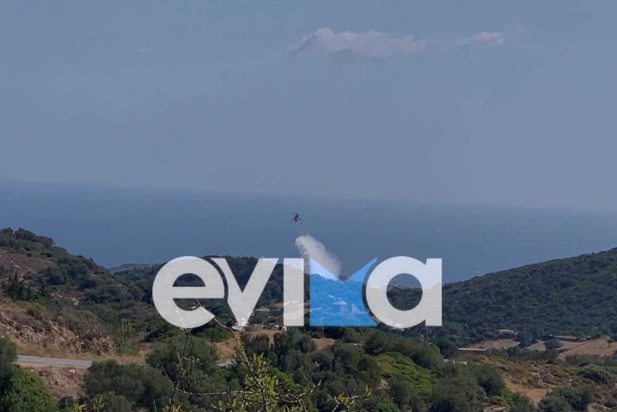 Φωτιά στις Πετριές: Εμπρησμό καταγγέλει στο newsit.gr ο δήμαρχος – Ισχυρές δυνάμεις στην περιοχή