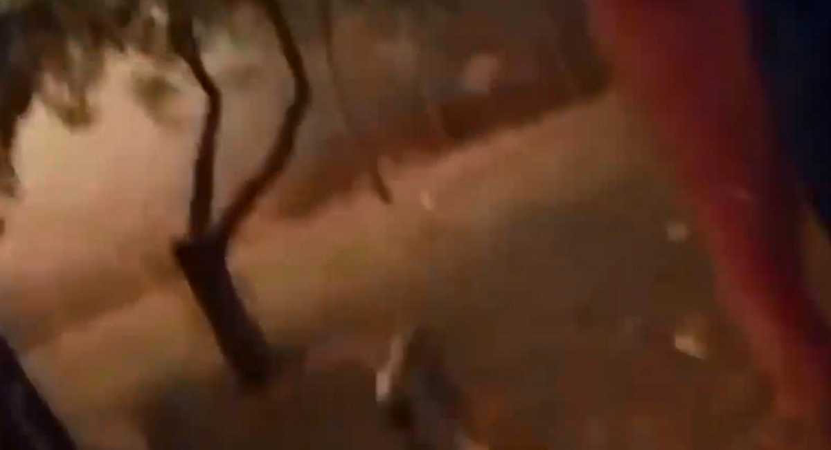 Φωτιά στην Εύβοια: Βίντεο μέσα από το πύρινο μέτωπο – «Θεέ μου σε παρακαλώ»