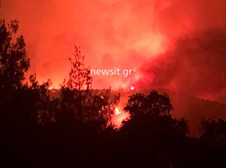 Φωτιά στα Βίλια: Mάχη να μη φτάσουν οι φλόγες στο Πόρτο Γερμενό - Κοκκίνισε το όρος Πατέρας