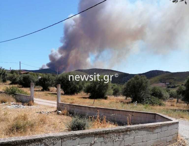 Φωτιά στην Κερατέα: Που έχει διακοπεί η κυκλοφορία