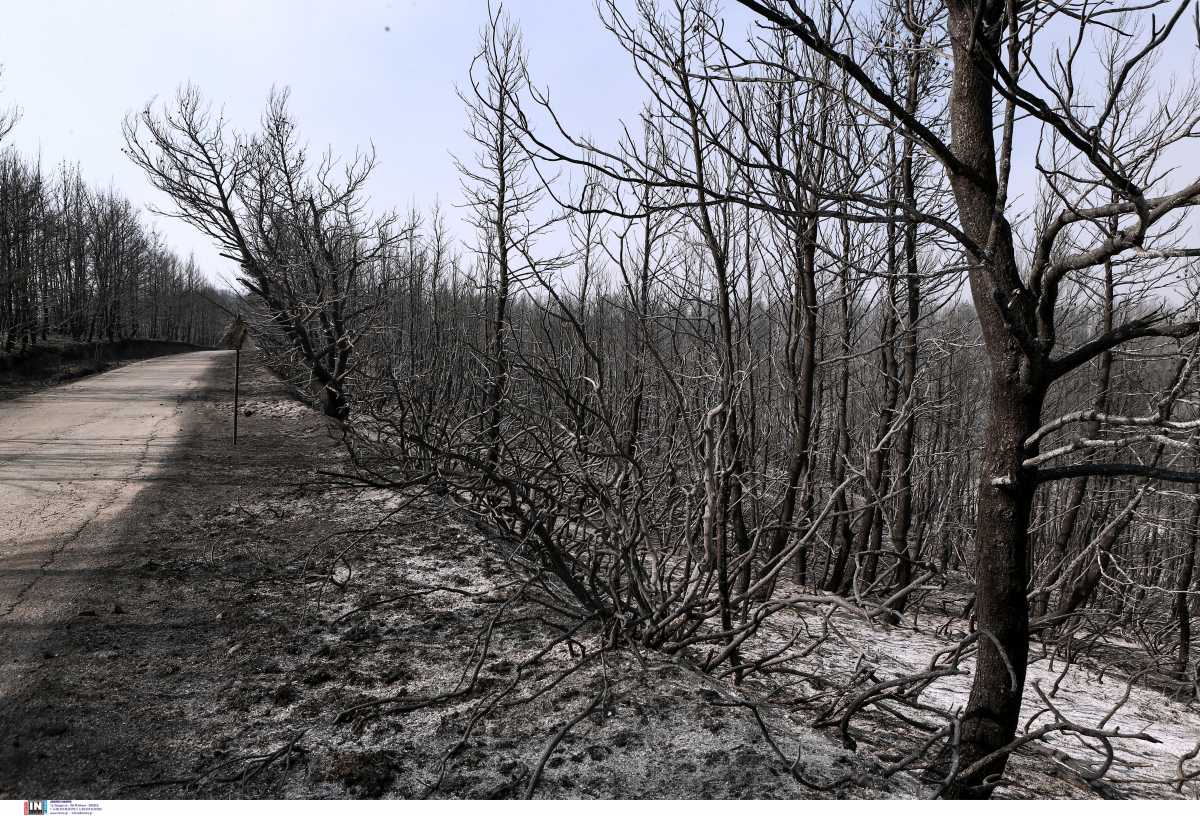 Φωτιά στην Εύβοια: Χωρίς ρεύμα και νερό δεκάδες οικισμοί για 8η μέρα – Αγώνας δρόμου από τη ΔΕΔΗΕ