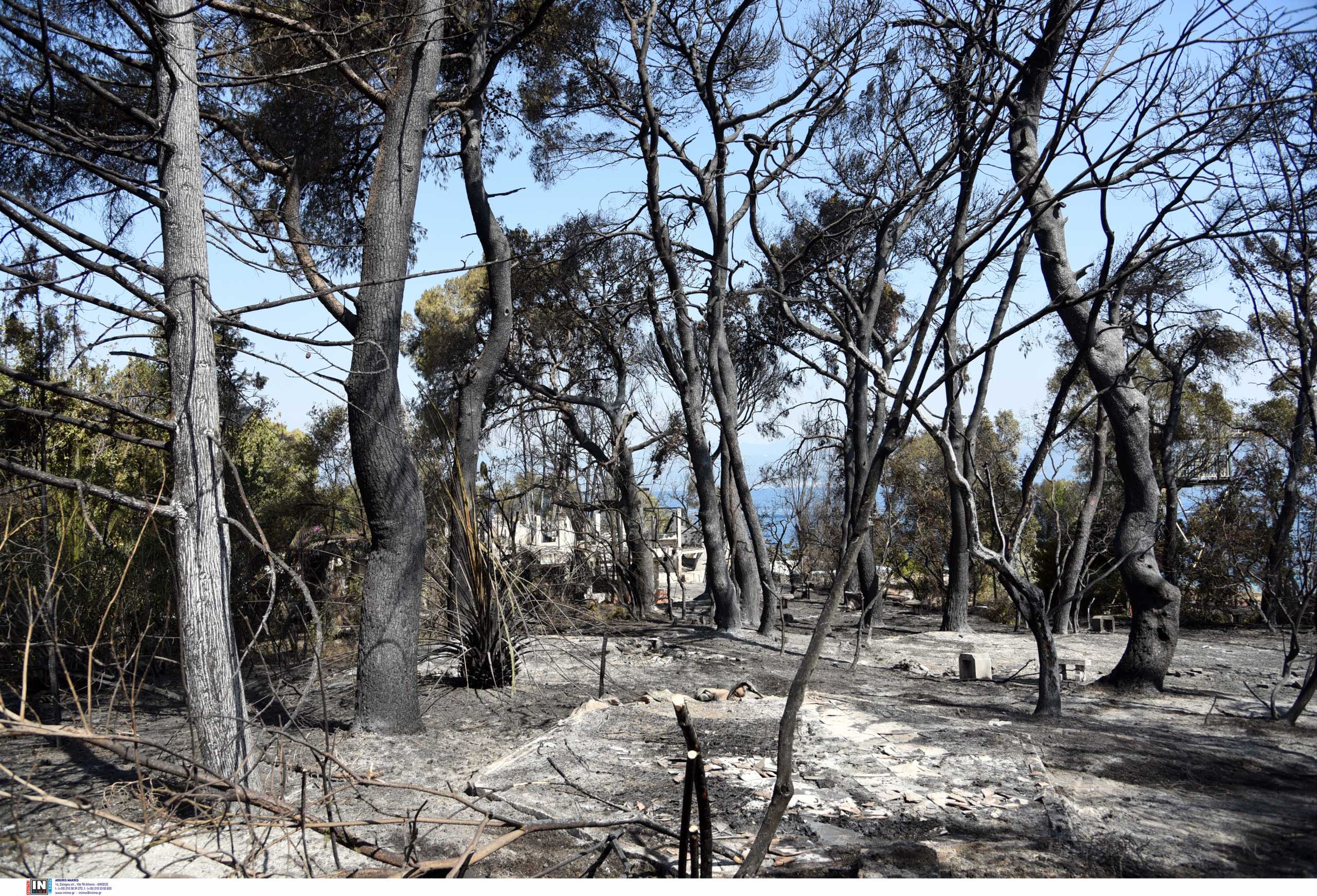 Φωτιά στην Αχαΐα: Εμπρησμός στη Δροσιά, αμέλεια στην Ελεκίστρα