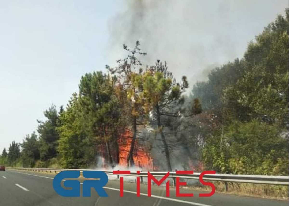 Φωτιά στην εθνική οδό Αθήνας – Θεσσαλονίκης