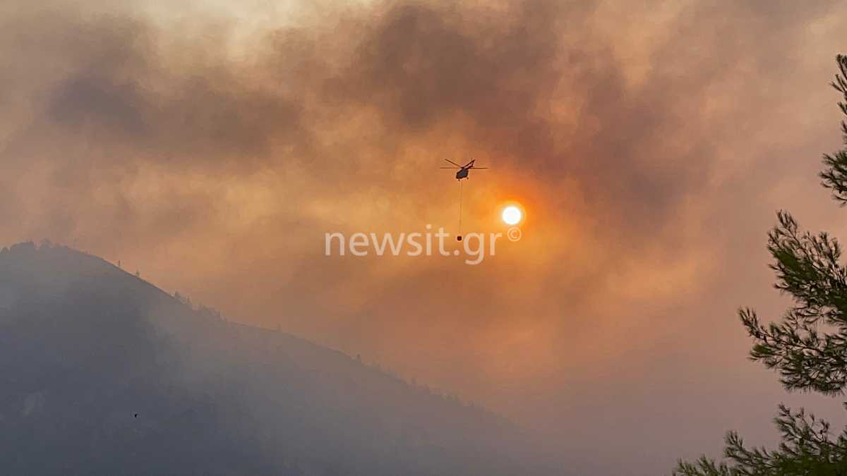Φωτιές στην Ελλάδα: Εκατοντάδες ώρες πτήσης για τα πυροσβεστικά αεροσκάφη σε μόλις πέντε μέρες