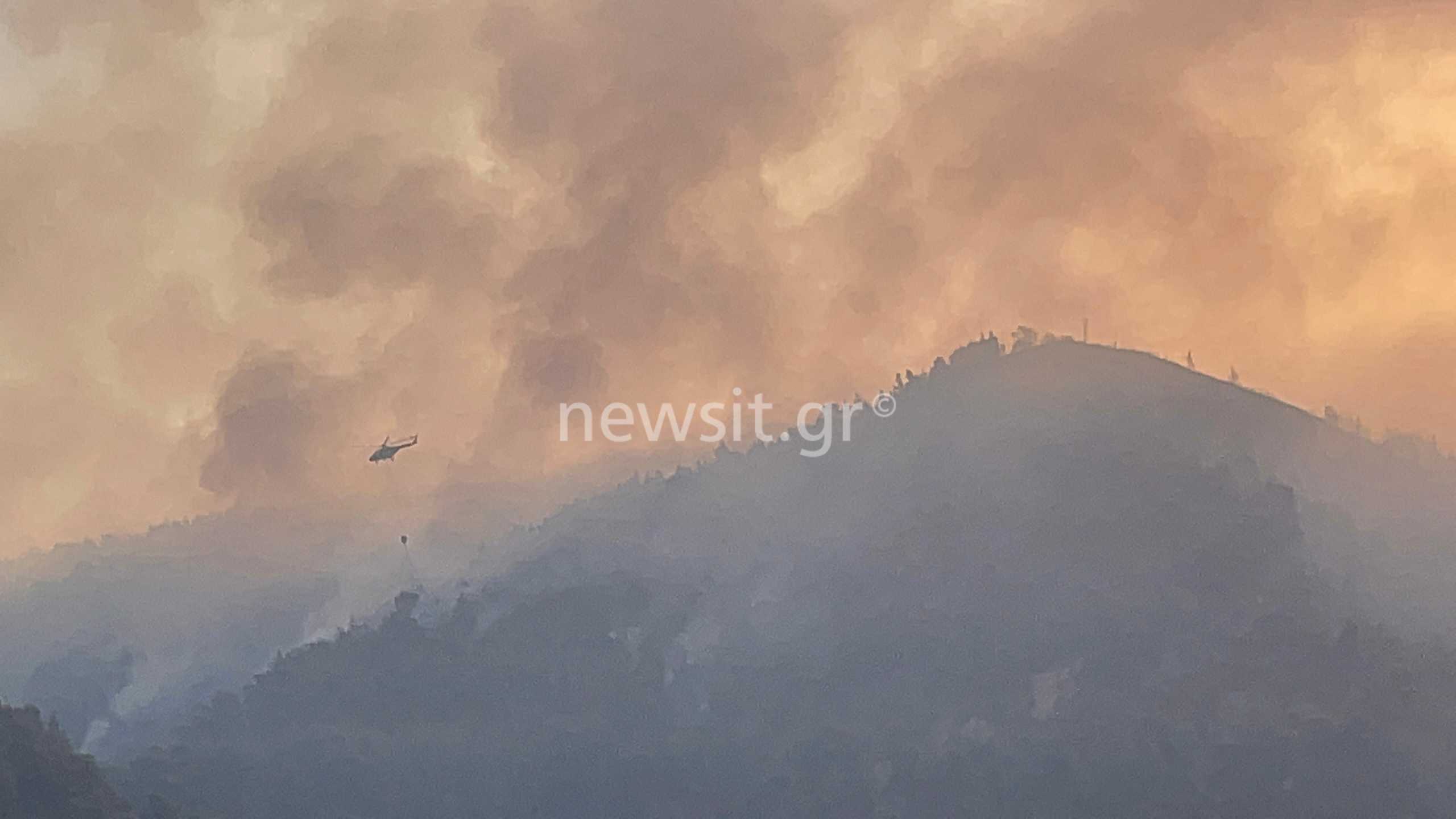 Φωτιά στην Εύβοια: Δραματική επιχείρηση εκκένωσης 158 ανθρώπων από Κρύα Βρύση και Αγία Άννα