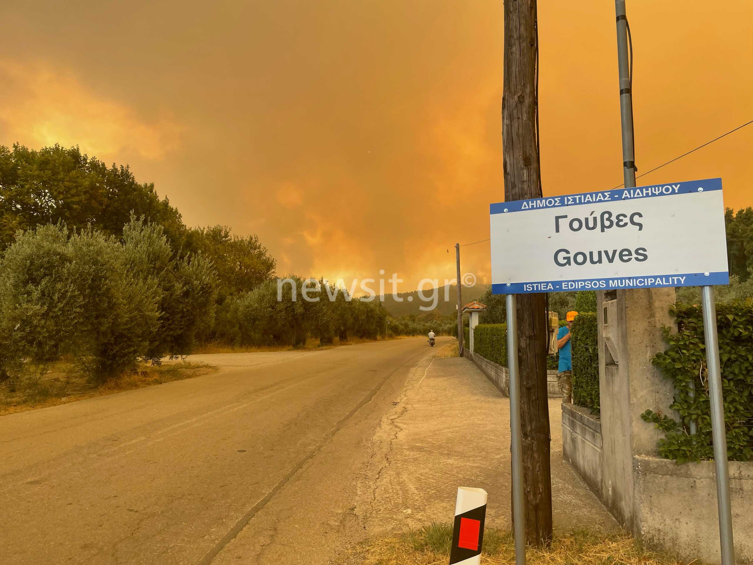 Φωτιά στην Εύβοια: Σκληρή μάχη να μην καούν τα Ελληνικά – Επεκτείνεται το πύρινο μέτωπο στον Δήμο Ιστιαίας