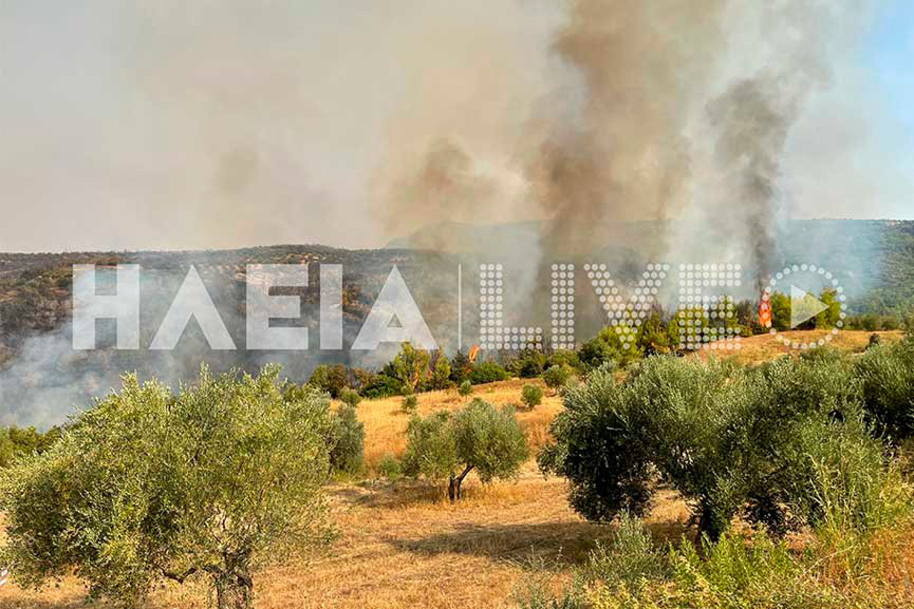 Φωτιά στην Ηλεία: Διαρκείς ταυτόχρονες αναζωπυρώσεις – Έχουν καεί πάνω από 10.000 στρέμματα