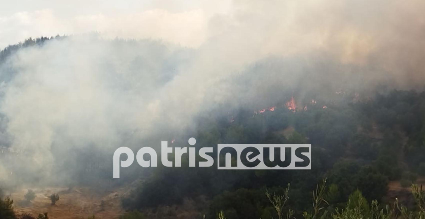 Φωτιά στην Ηλεία: Φουντώνουν ξανά οι φλόγες – Απειλούν να περάσουν και στην Αρκαδία