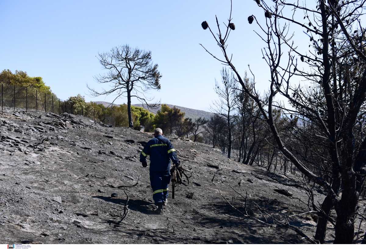 Βόρεια Εύβοια: Η ΔΕΗ θα συνεισφέρει στην αποκατάσταση και στην αναδάσωση στις πυρόπληκτες περιοχές