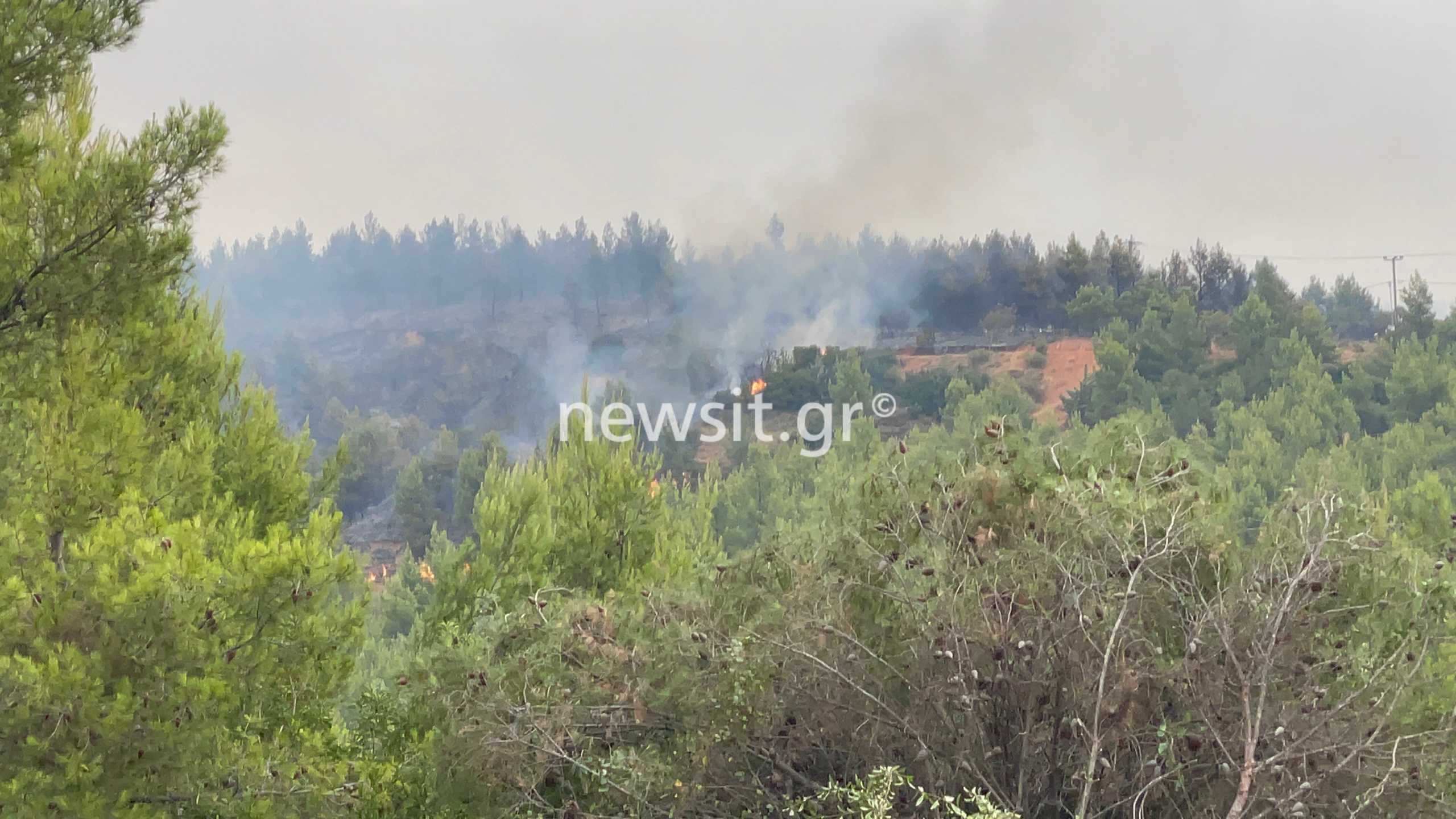 Μήνυμα 112 για την φωτιά στην Αττική – Εκκενώστε Μαλακάσα, Πολυδένδρι και Καπανδρίτι