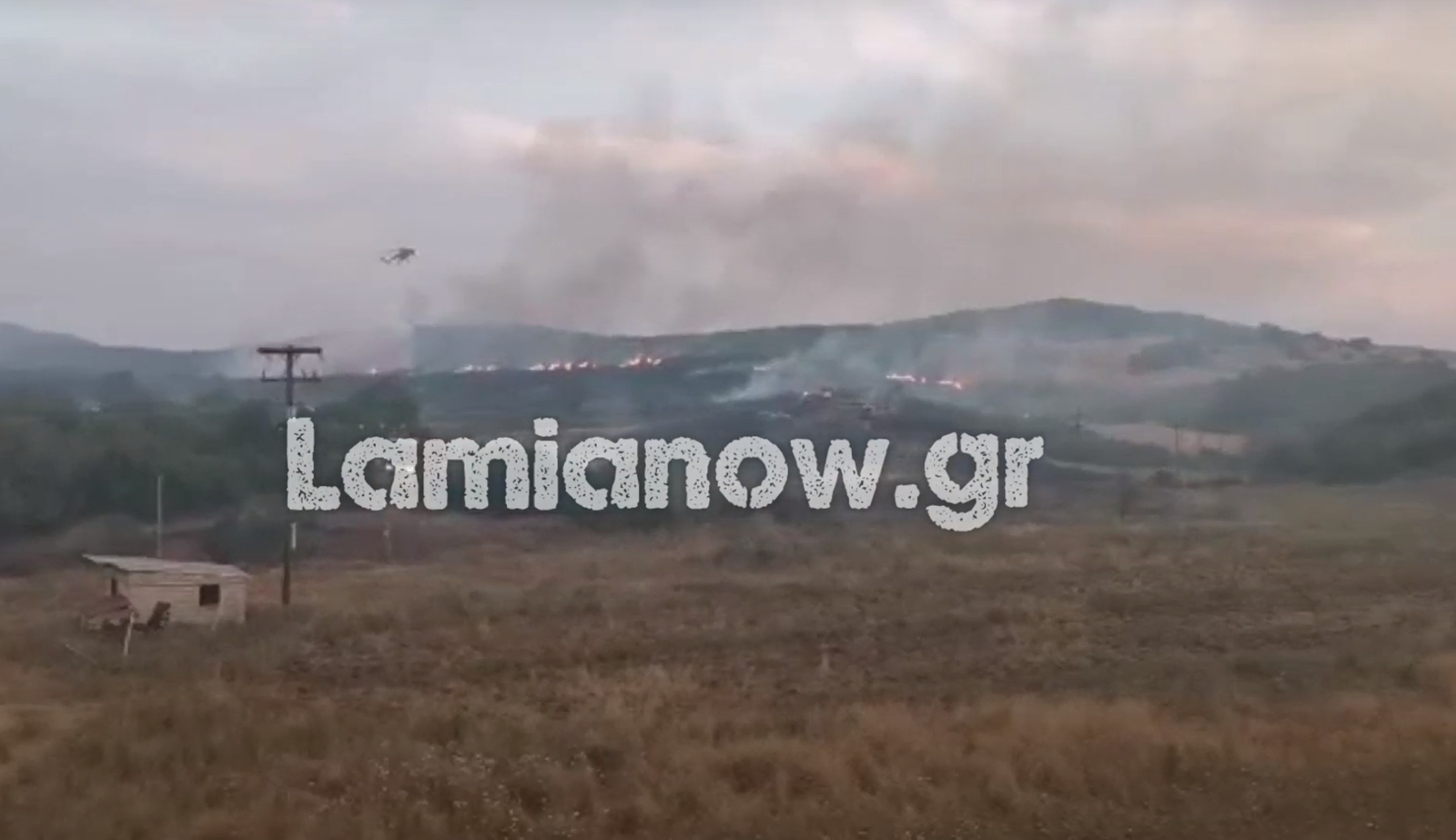 Φωτιά και στην Λαμία! Μεγάλη κινητοποίηση της Πυροσβεστικής