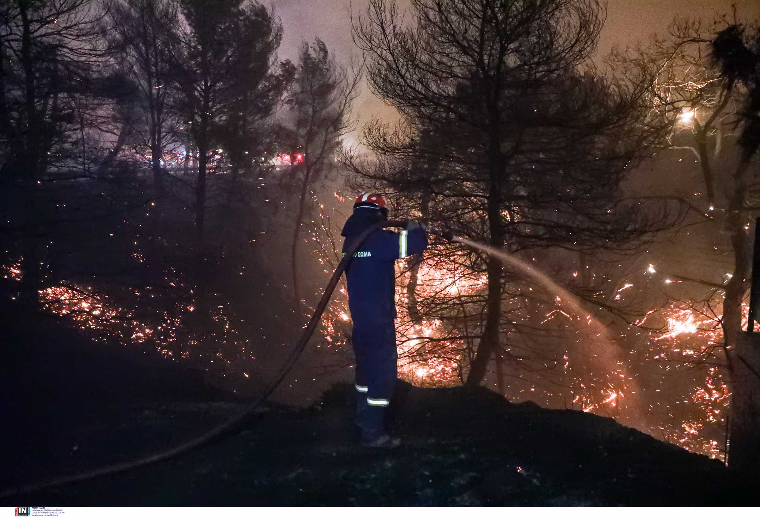 Φθιώτιδα: Συναγερμός για μεγάλη φωτιά στην Μενδενίτσα