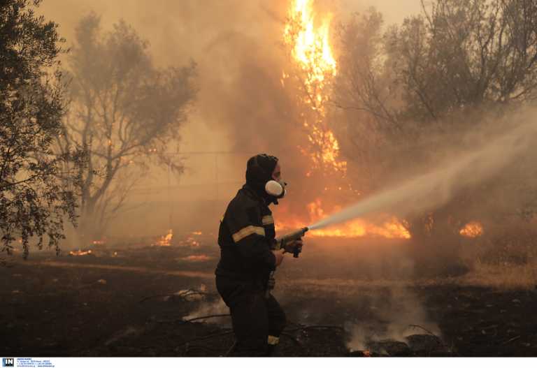 Υπόνοιες για οργανωμένο σχέδιο εμπρησμών πίσω από φωτιές – Τα μέτρα για τους πληγέντες