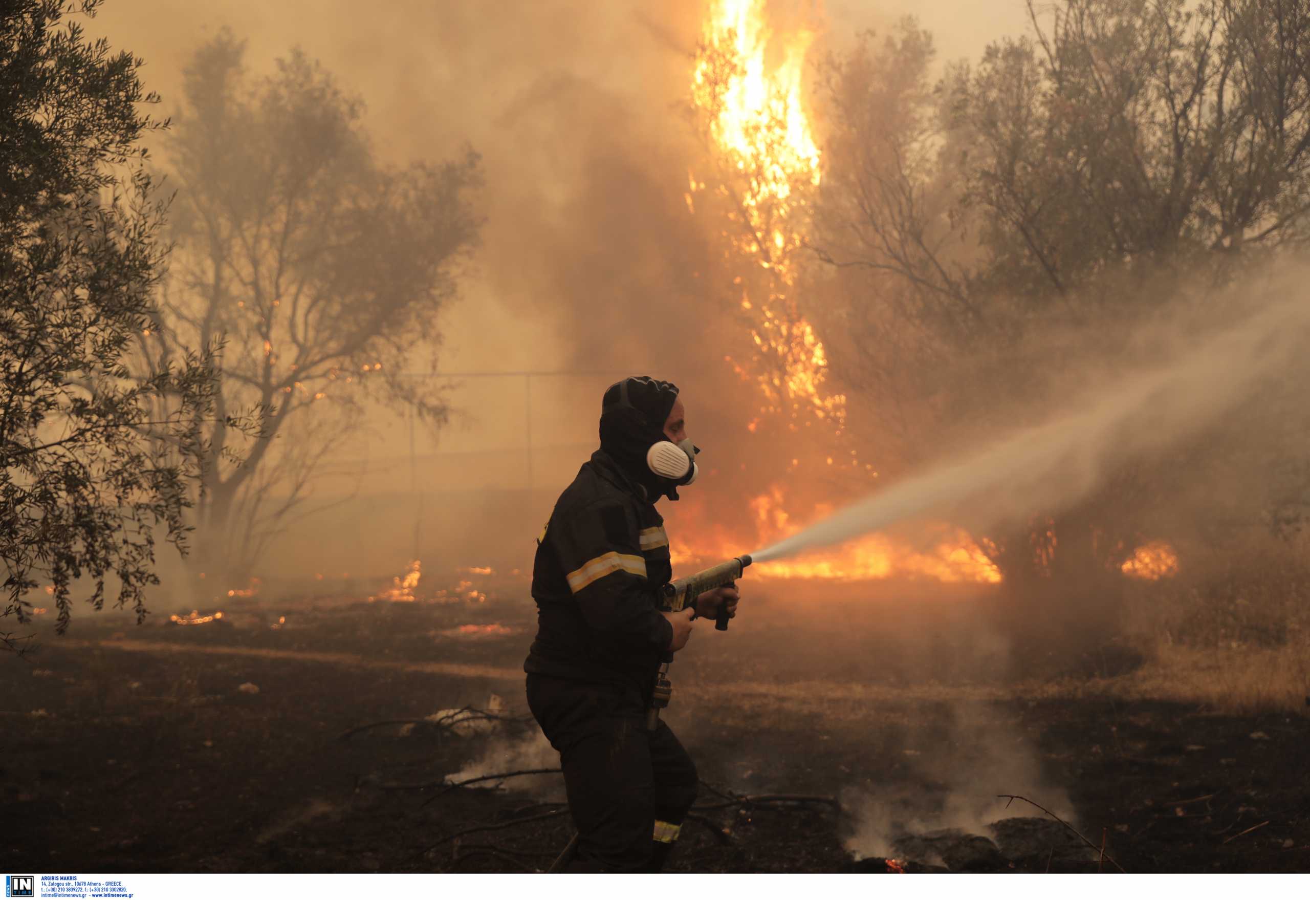 Υπόνοιες για οργανωμένο σχέδιο εμπρησμών πίσω από φωτιές – Τα μέτρα για τους πληγέντες