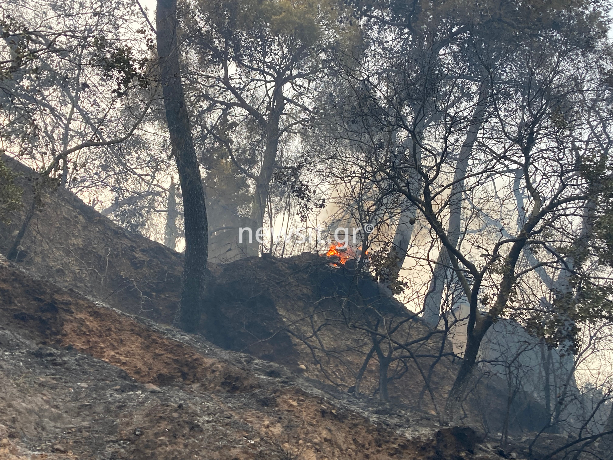 "Κρανίου τόπος" η Βαρυπόμπη μετά την επέλαση της πύρινης λαίλαπας 1