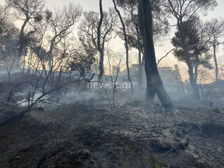 Βαρυμπόμπη: Αποκαρδιωτικές εικόνες από το πέρασμα της πύρινης λαίλαπας - Μαύρισαν τεράστιες εκτάσεις (pics)