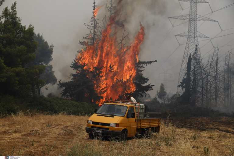 Χαρδαλιάς: 56 οι ανοιχτές πυρκαγιές που αντιμετωπίζουμε - Η φωτιά στην Εύβοια έχει λάβει επικίνδυνες διαστάσεις!