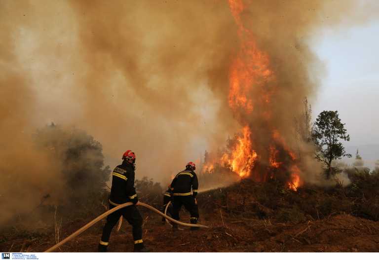 Φωτιά στη Μάνη – Καίει σε δασική έκταση
