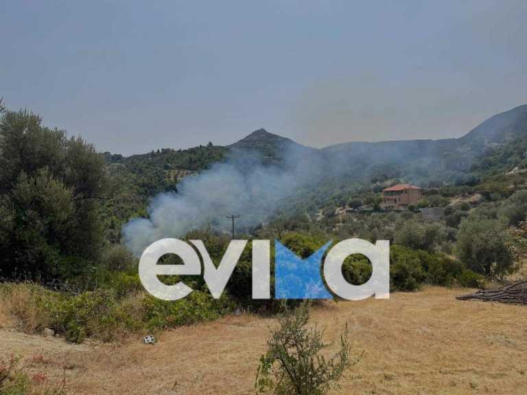 Φωτιά στην Εύβοια: Καίγεται η Πλατάνα