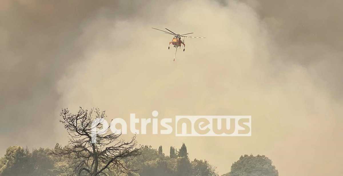 Φωτιές στην Ηλεία: Περιγράφουν πώς κατάφεραν να σώσουν τα σπίτια τους