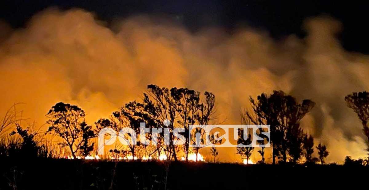 Φωτιά στην Ηλεία: Φλόγες τύλιξαν έκταση με θάμνους και καλαμιές στη Μούτελη