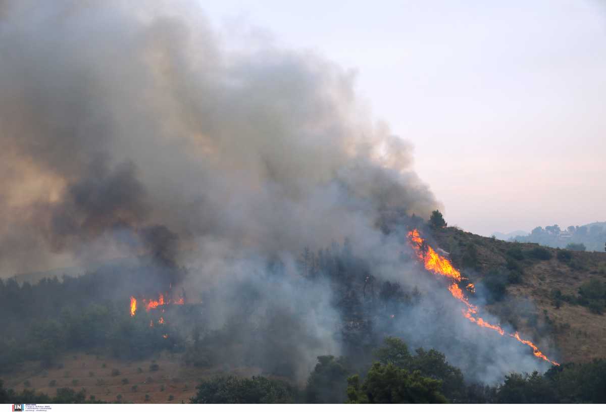 Φωτιές στην Αττική: Εφιαλτικές στιγμές σε Θρακομακεδόνες και Βαρυμπόμπη – Φλέγεται ο Άγιος Στέφανος