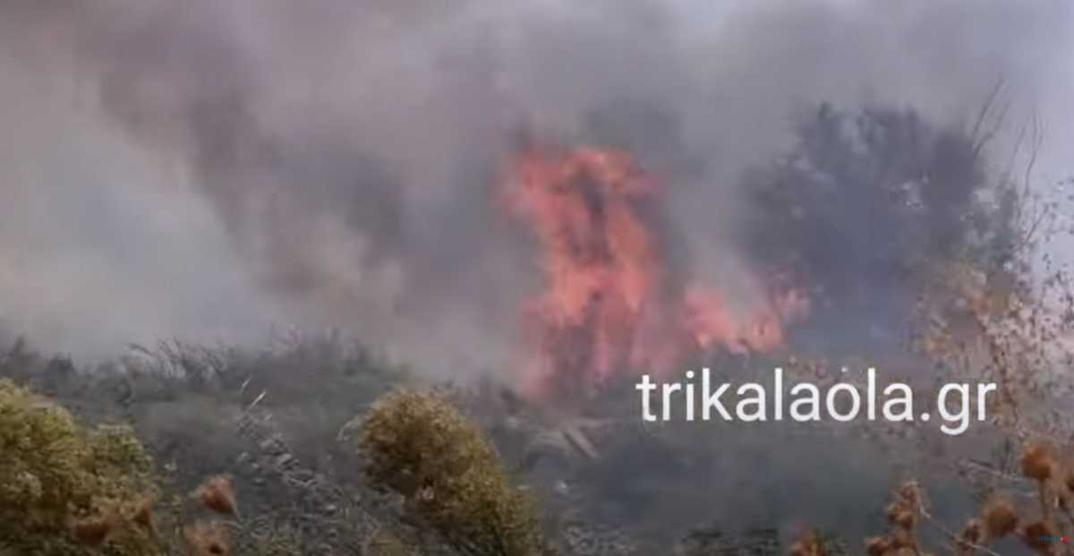 Φωτιά στα Τρίκαλα: Πυκνοί καπνοί σκέπασαν το Μικρό Κεφαλόβρυσο – Δέντρα τυλίχτηκαν στις φλόγες