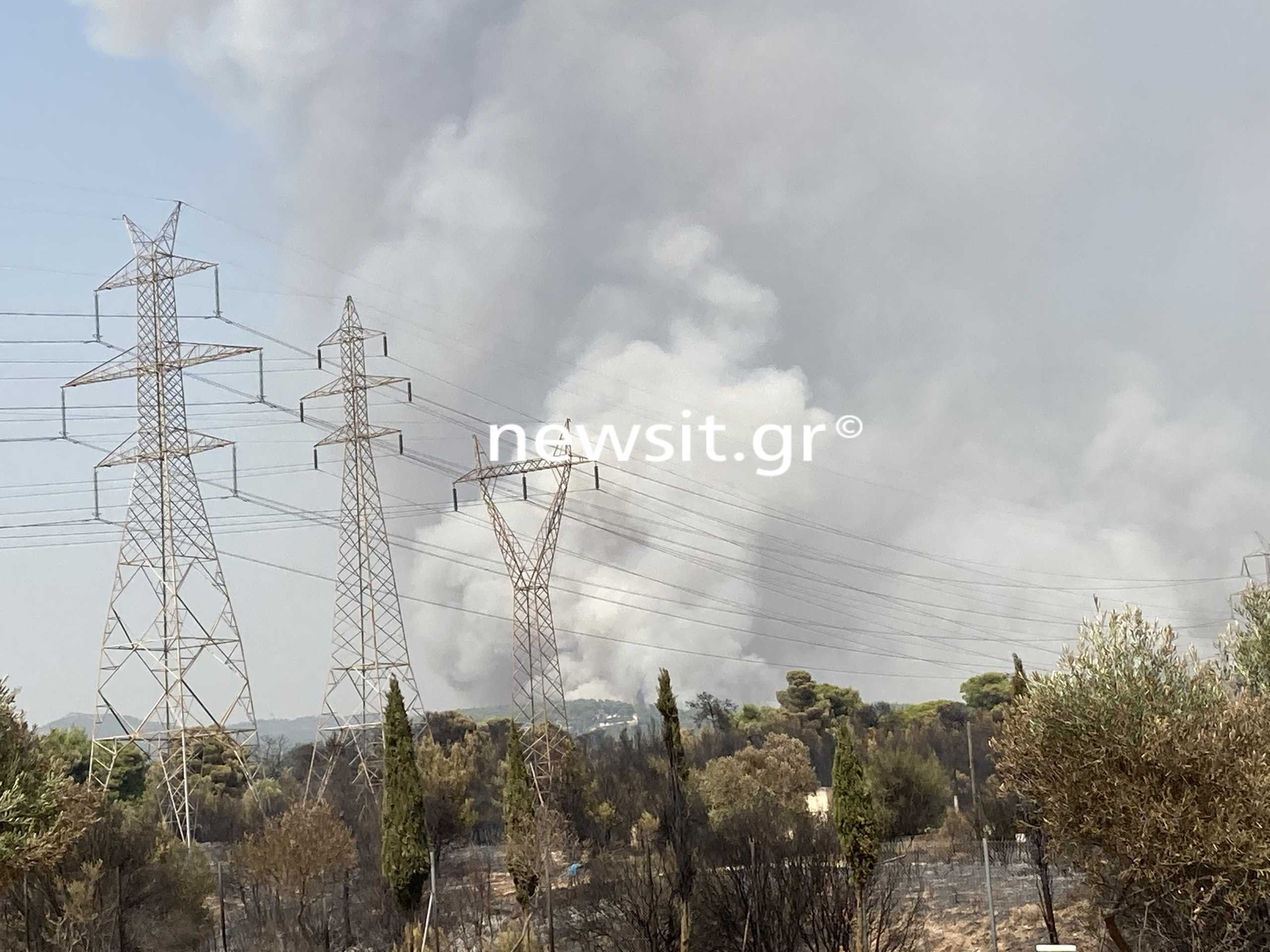 Φωτιά στην Αττική: Εκκενώθηκε γηροκομείο τα ξημερώματα στον Άγιο Στέφανο