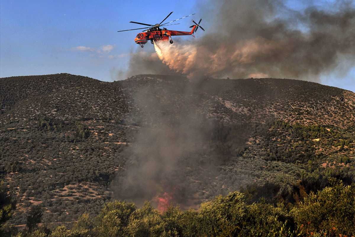 Διεθνή ΜΜΕ για τις φωτιές: Καίγονται τα τελευταία δάση της Ελλάδας