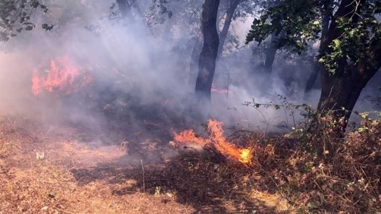 Φωτιά στην Ανάβυσσο, στην περιοχή Άγιος Νικόλαος