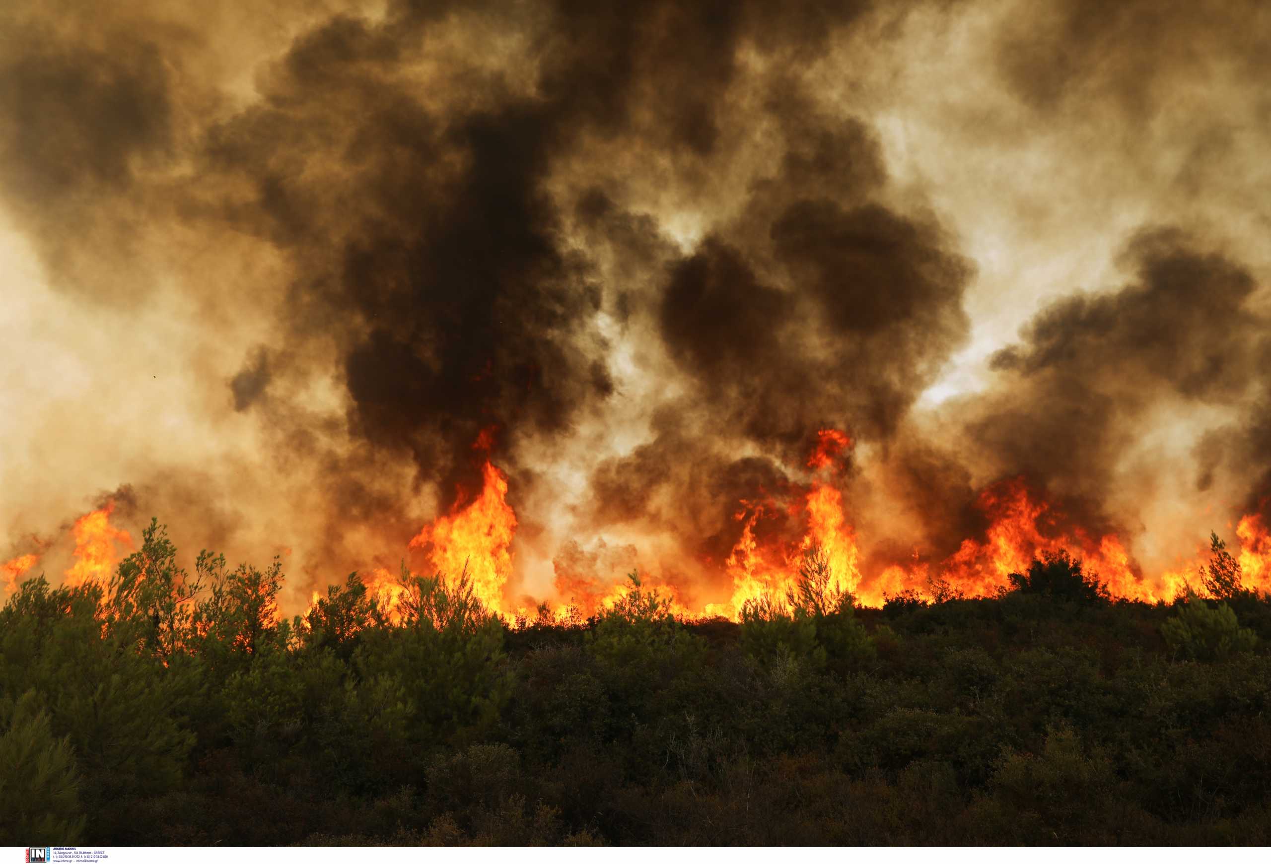 Φωτιά στα Βίλια: Άλλη μια δύσκολη νύχτα – Πύρινο μέτωπο χιλιομέτρων