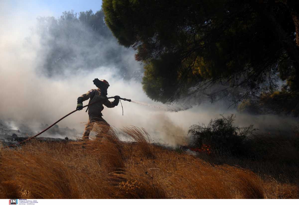 Φωτιά στην Κερατέα: Απεγκλωβίστηκε ηλικιωμένη – Εκκενώθηκαν 4 οικισμοί