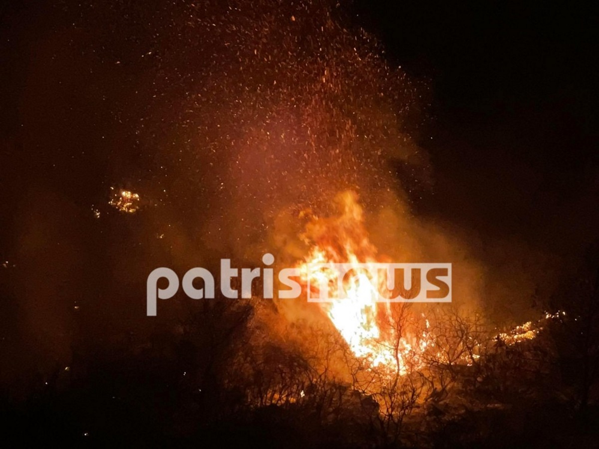 Φωτιά στην Κορυφή Πύργου: Νέο μέτωπο προς τα Φωναϊτικά